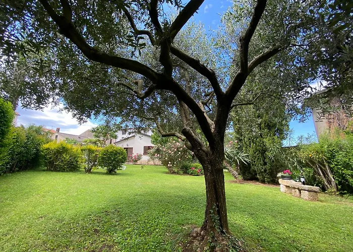 Perla 펜션 푼타나