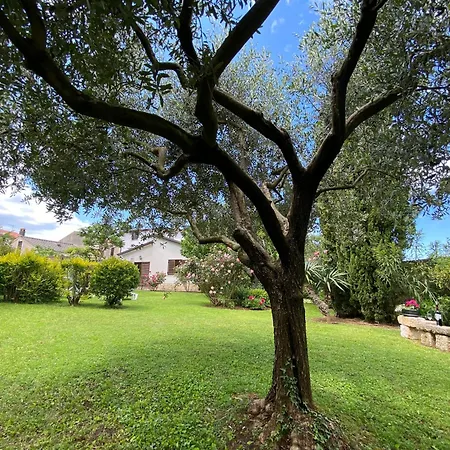 Perla 別荘 フンタナ